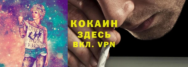 PSILOCYBIN Алзамай