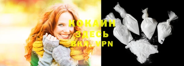 гашик Надым