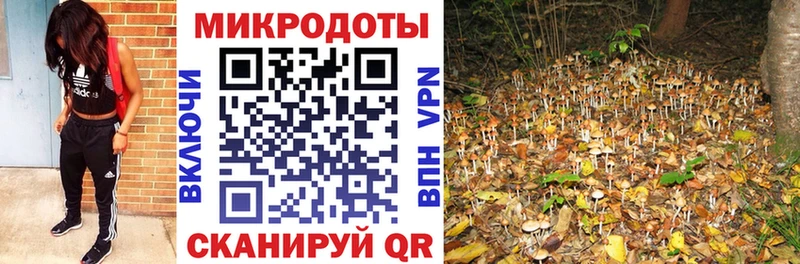 Псилоцибиновые грибы прущие грибы Купить закладки Бежецк